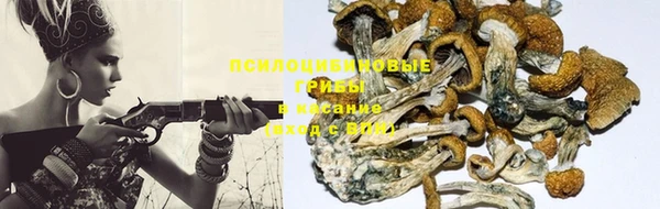винт Осинники