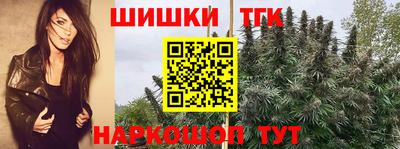 стафф Абакан