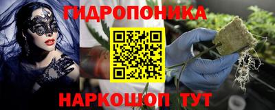 индика Азнакаево