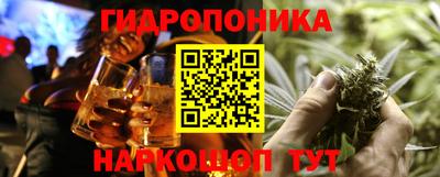 индика Азнакаево