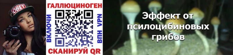 Псилоцибиновые грибы прущие грибы  сколько стоит  Мичуринск 