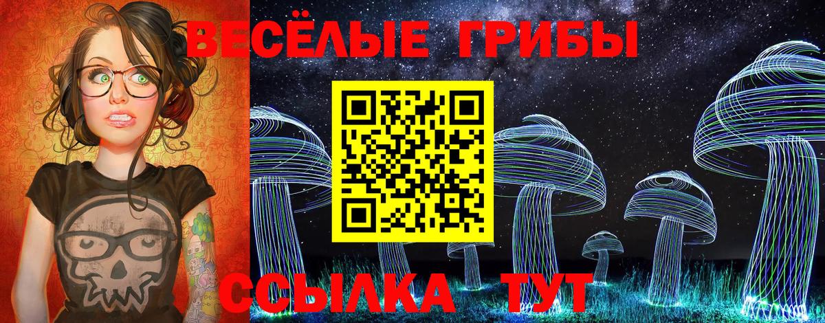 Псилоцибиновые грибы MAGIC MUSHROOMS Мичуринск