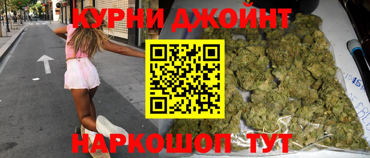 МАРИХУАНА сатива Мичуринск